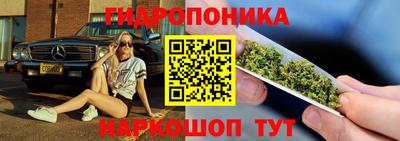 гашик Сланцы